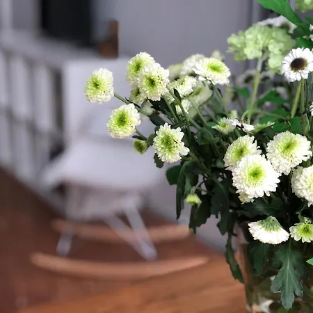 Ca' Dei Armeni - San Marco Square * Venice