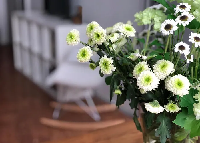 Ca' Dei Armeni - San Marco Square * 威尼斯